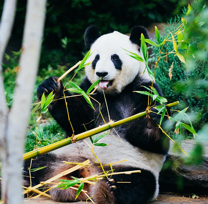 Brand Name : Brand Short Description Type Here.