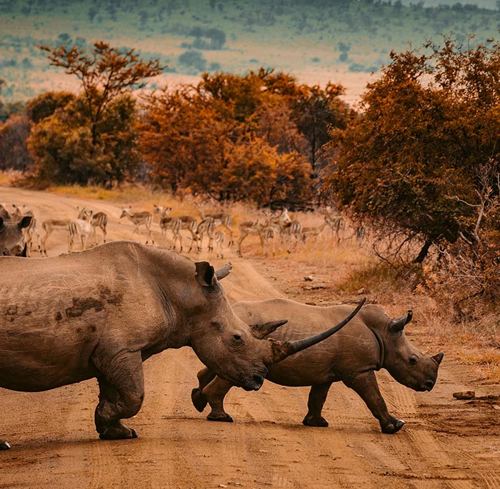 Brand Name : Brand Short Description Type Here.